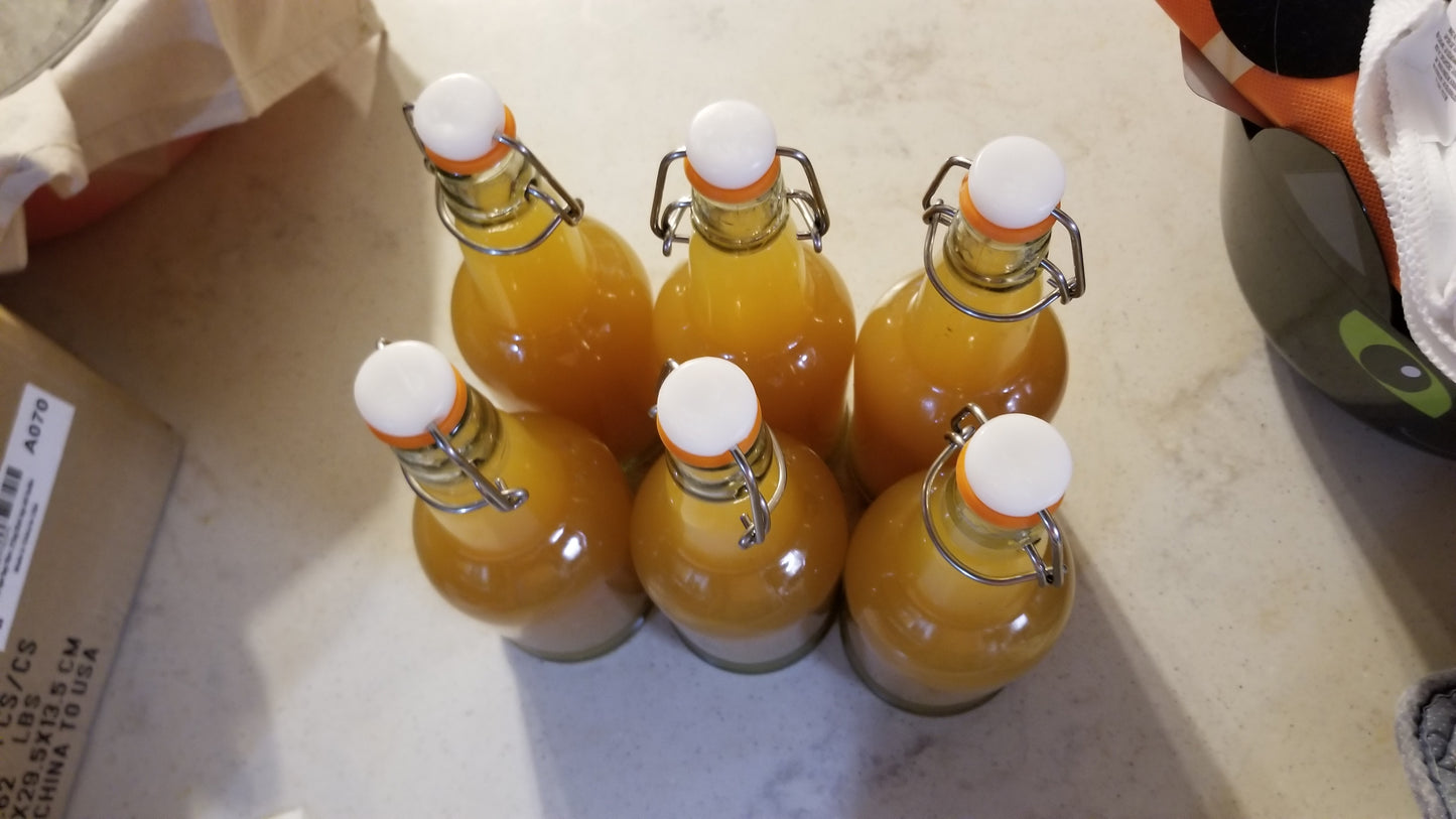 Organic Kombucha Scoby