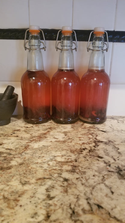 Organic Kombucha Scoby