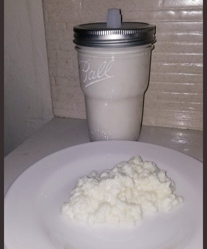 Organic Raw A2 Milk Kefir Grains