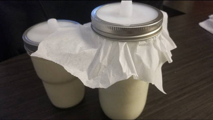 Organic Raw A2 Milk Kefir Grains